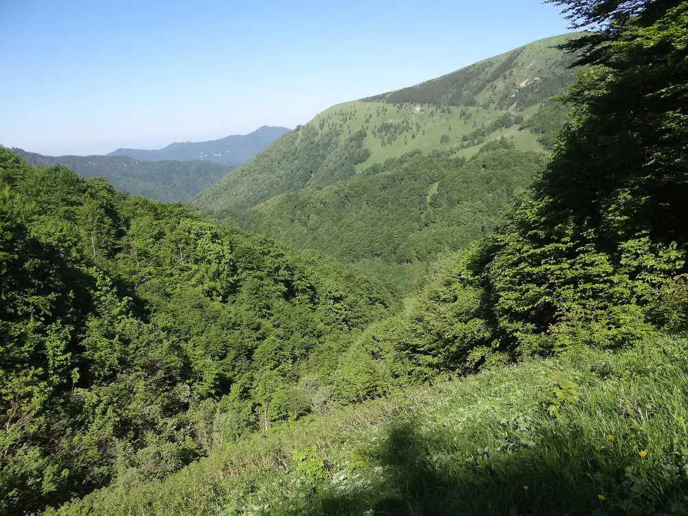 Necpalská dolina