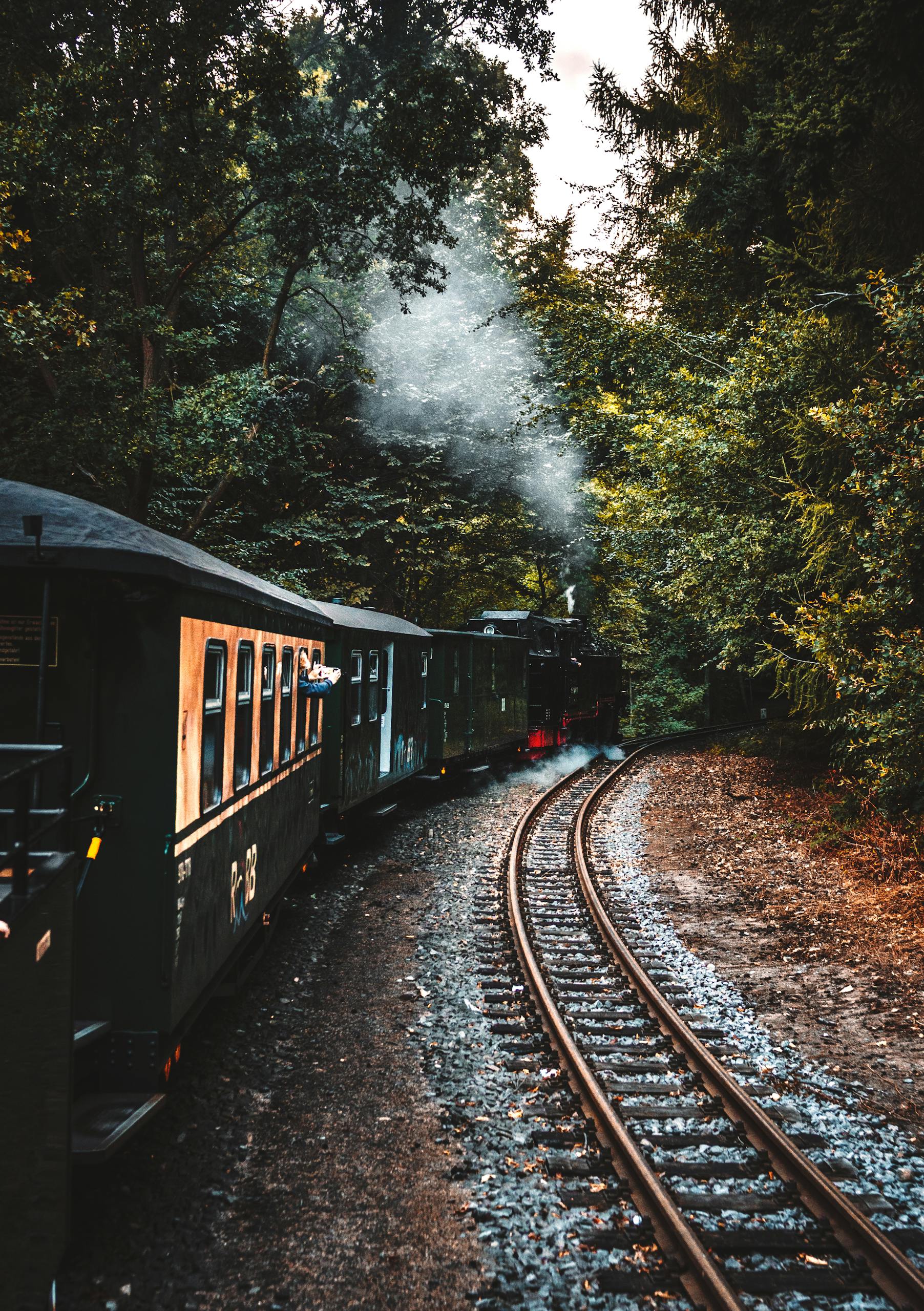 Brown Train Railway